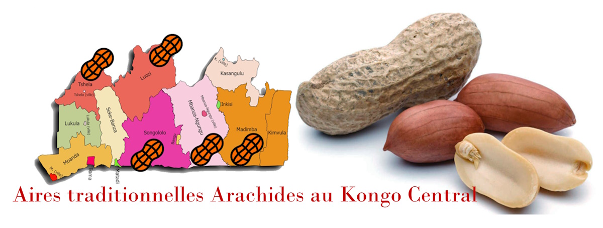 Kongopreneur